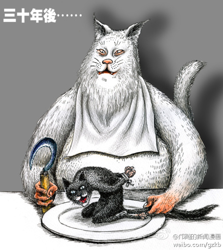 Gato negro, gato blanco (30 años después)
