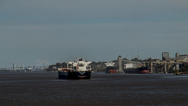 Grandes barcos acuden a las cercanías del rio Parana, donde estan las fábricas de Molienda, para poner rumbo a China. [FOTO: Daniel Méndez]