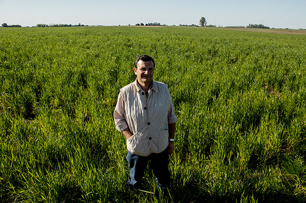 Alejandro Calderón, en sus tierras de Pergamino. Como otros agricultores, también esté argentino se ha apuntado a la fiebre de la soja. [FOTO: Daniel Méndez]