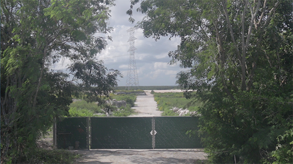 El terreno donde se iba a construir el Dragon Mart Cancún. [FOTO: Daniel Méndez]