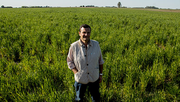 La demanda china de la soja y la “sojización” del campo argentino
